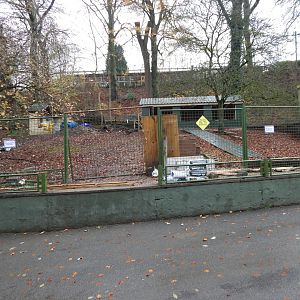 Building works 241122