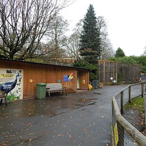 View towards Cassowary enclosure and aviaries 241122