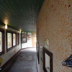 Southern cassowary viewing area 241122