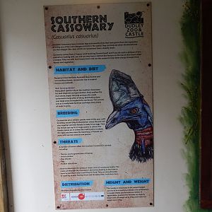 Southern cassowary signage 241122