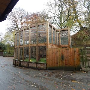 Sloth and small primate enclosure 241122