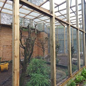 Various mixed aviaries 241122