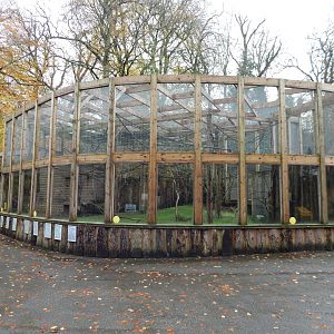 Sloth and small primate enclosure 241122