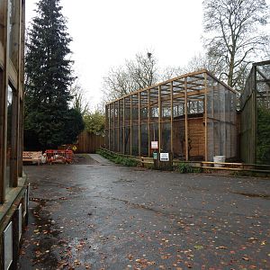 Mixed aviaries 241122