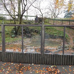 Asian small-clawed otter enclosure 241122