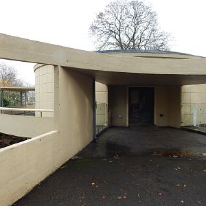 Former bird house 241122