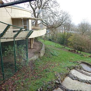 Asiatic lion enclosure 241122