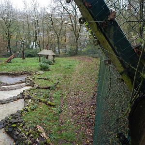 Asiatic lion enclosure 241122