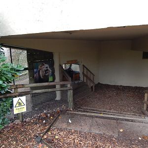 Asiatic lion enclosure viewing area 241122