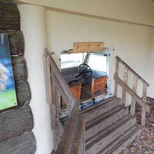Asiatic lion enclosure viewing area 241122