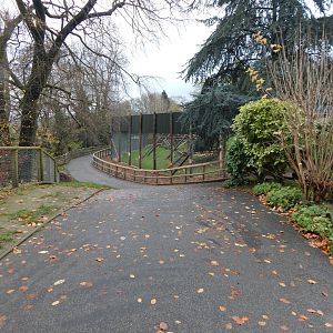 View towards Orangutan enclosure 241122