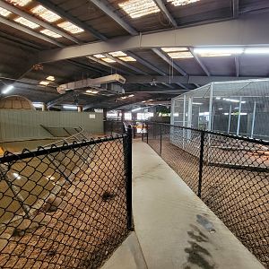 Reptile Lagoon, SOTB - Inside entrance door