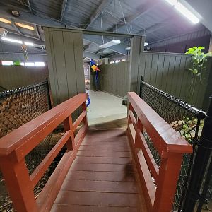 Reptile Lagoon, SOTB - Path