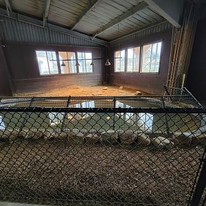 Reptile Lagoon, SOTB - Morelet's crocodile