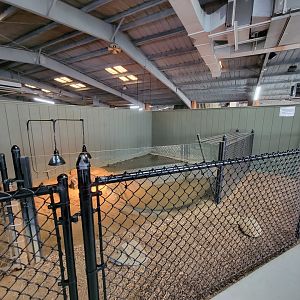 Reptile Lagoon, SOTB - Slender-snouted crocodile