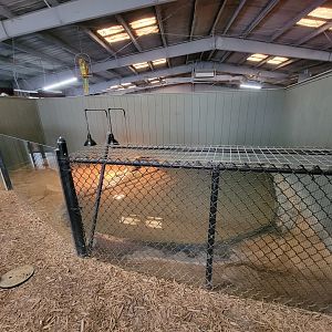 Reptile Lagoon, SOTB - Slender-snouted crocodile