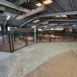 Reptile Lagoon, SOTB - Path, Nile and Nile x Cuban crocodiles