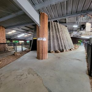 Reptile Lagoon, SOTB - First snake area