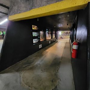 Reptile Lagoon, SOTB - First snake area