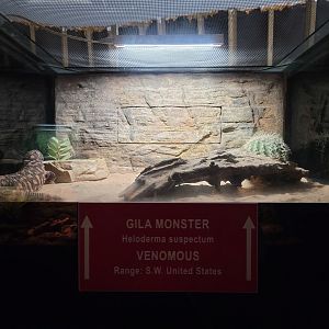 Reptile Lagoon, SOTB - Gila monster