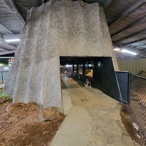 Reptile Lagoon, SOTB - Back of first snake area