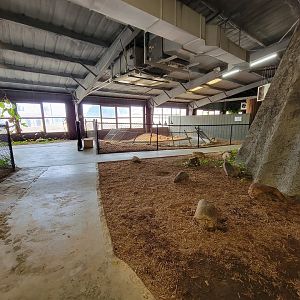 Reptile Lagoon, SOTB - Path