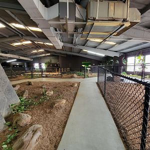 Reptile Lagoon, SOTB - Path