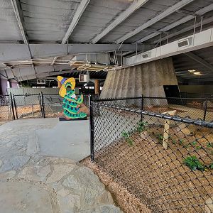 Reptile Lagoon, SOTB - Looking back to Siamese exhibit
