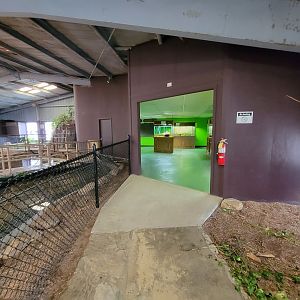 Reptile Lagoon, SOTB - Turtle room