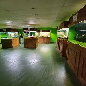 Reptile Lagoon, SOTB - Turtle room