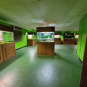 Reptile Lagoon, SOTB - Turtle room
