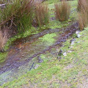 Waterway - September, 2009