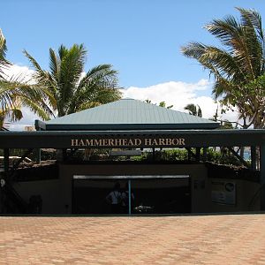 Hammerhead Harbor