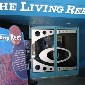 The Living Reef entry