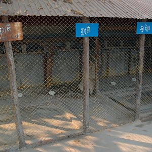 Bengal Cat cage, Angkor Zoo - 2005
