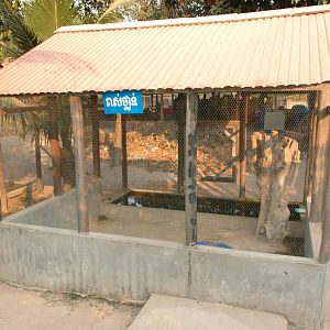 Angkor Zoo - 2005