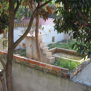 Sun Bear enclosure, Angkor Zoo - 2005