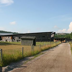 The farm