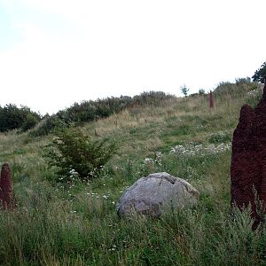 Ree Park - Cheetah enclosure
