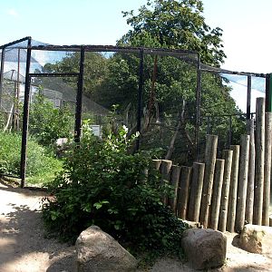 Ree Park - Sand cat exhibit