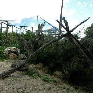Ree Park - Sand cat exhibit