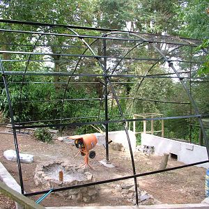 Aviary extension at the Welsh Mountain Zoo 27/09/09
