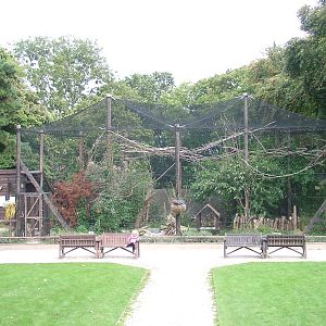 African Aviary at the Welsh Mountain Zoo 27/09/09