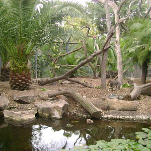 Side view of the Mandrill enclosure