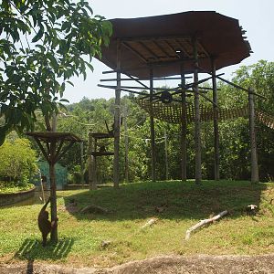 orang enclosure
