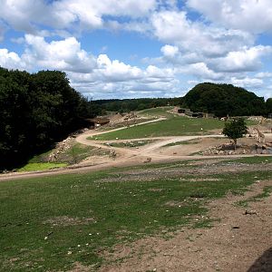 Ree Park - Grassland savannah