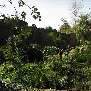 Melbourne Zoo October 2009