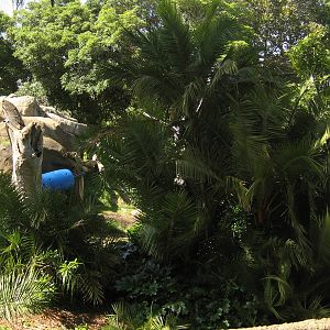 Melbourne Zoo October 2009