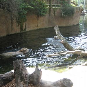 Melbourne Zoo October 2009