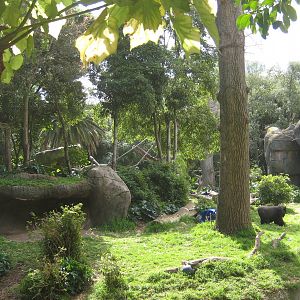 Melbourne Zoo October 2009